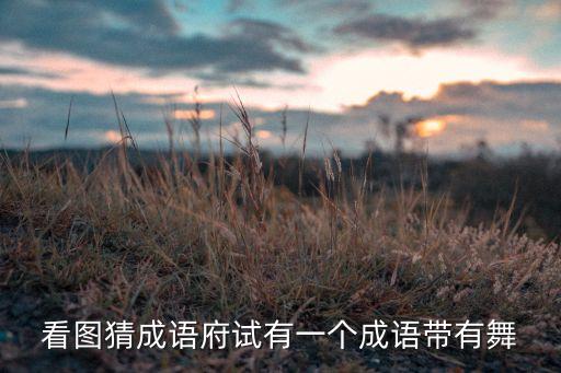 看图猜成语府试有一个成语带有舞