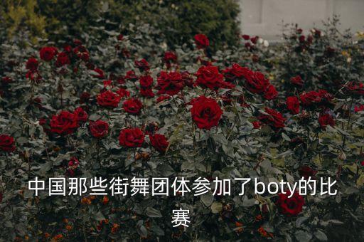 中国那些街舞团体参加了boty的比赛