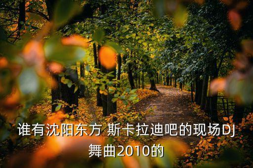 谁有沈阳东方 斯卡拉迪吧的现场DJ舞曲2010的