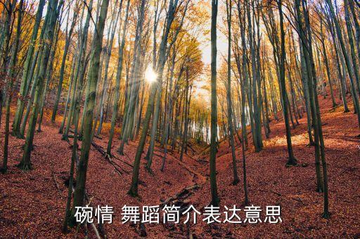 碗情 舞蹈简介表达意思
