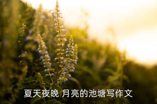 月亮姑娘舞蹈视频,想你的时候问月亮舞蹈视频