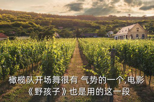 橄榄队开场舞很有 气势的一个,电影《野孩子》也是用的这一段