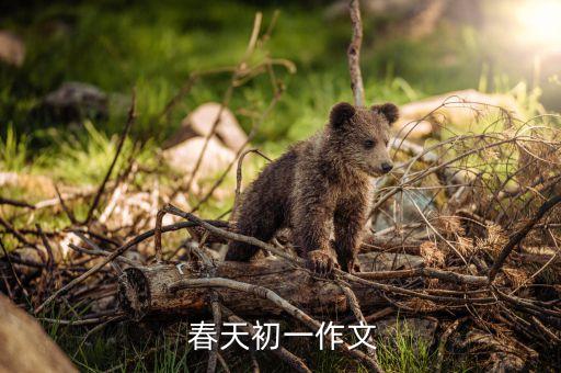  春天初一作文