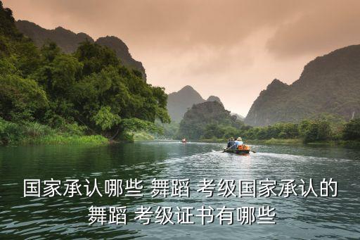 国家承认哪些 舞蹈 考级国家承认的 舞蹈 考级证书有哪些