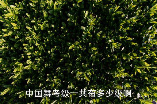中国舞考级一共有多少级啊
