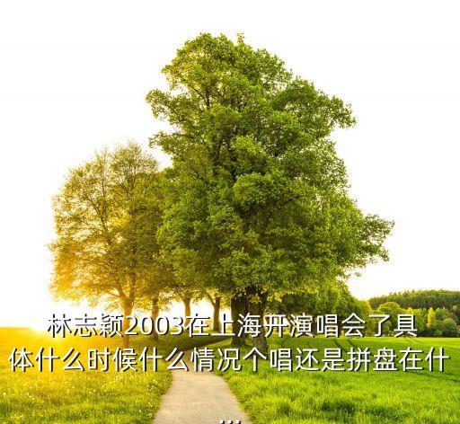  林志颖2003在上海开演唱会了具体什么时候什么情况个唱还是拼盘在什...
