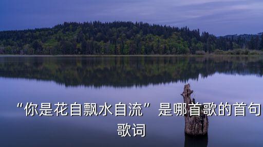 “你是花自飘水自流”是哪首歌的首句歌词