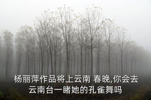 杨丽萍的春晚舞蹈视频,1988年杨丽萍春晚舞蹈