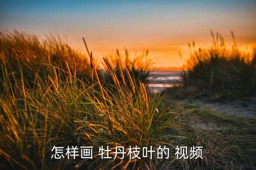 怎样画 牡丹枝叶的 视频