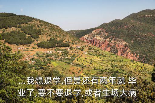 ...我想退学,但是还有两年就 毕业了,要不要退学,或者生场大病