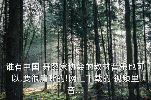 谁有中国 舞蹈家协会的教材音乐也可以,要很清晰的!网上下载的 视频里音...