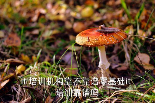 it 培训机构靠不靠谱零基础it 培训靠谱吗