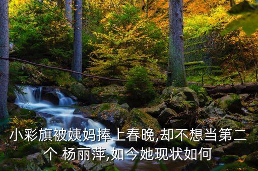 小彩旗被姨妈捧上春晚,却不想当第二个 杨丽萍,如今她现状如何