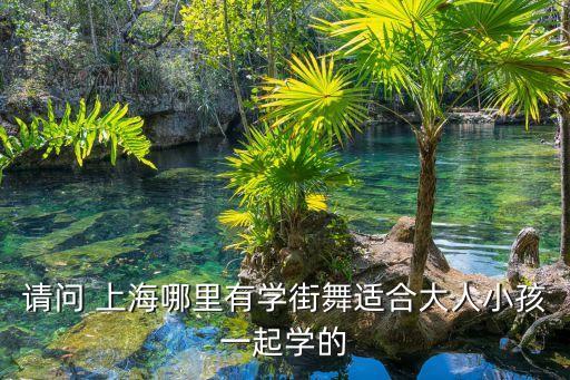 请问 上海哪里有学街舞适合大人小孩一起学的