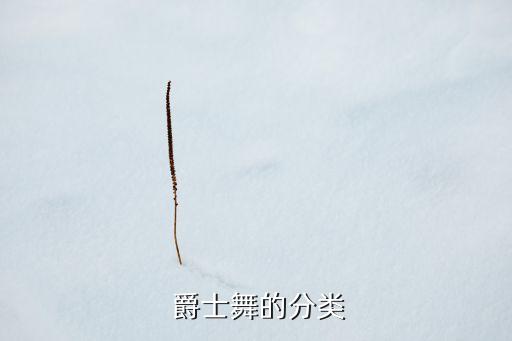 拉丁爵士舞蹈视频大全,少儿拉丁舞蹈视频大全100