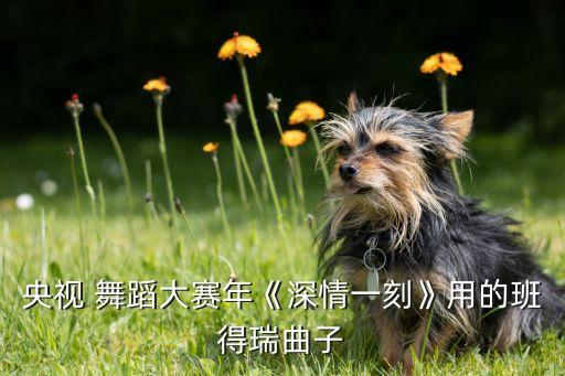 追梦人舞蹈教学视频解析,我们都是追梦人课间舞蹈教学