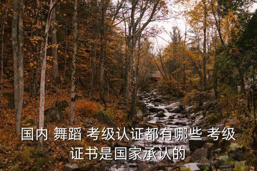 国内 舞蹈 考级认证都有哪些 考级证书是国家承认的