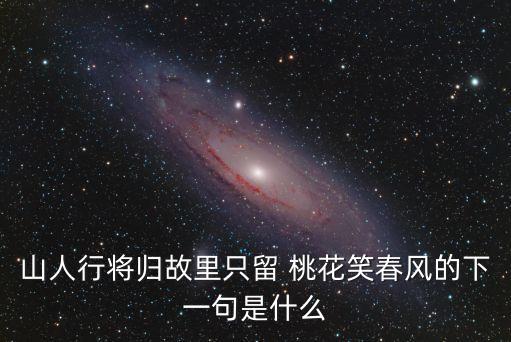 山人行将归故里只留 桃花笑春风的下一句是什么