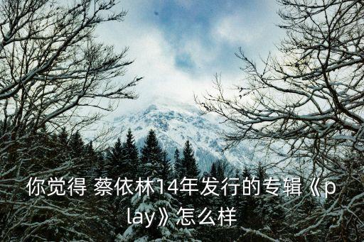 你觉得 蔡依林14年发行的专辑《play》怎么样