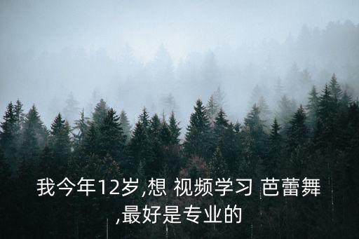 我今年12岁,想 视频学习 芭蕾舞,最好是专业的