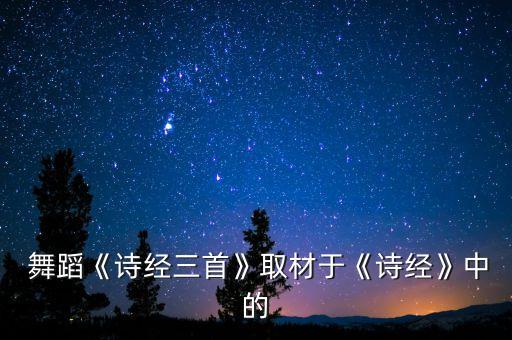 采薇舞蹈剧照原版,孔子采薇舞蹈视频原版