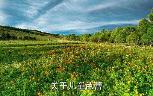 芭蕾舞团和舞蹈学校,辽宁芭蕾舞团附属舞蹈学校招生简章