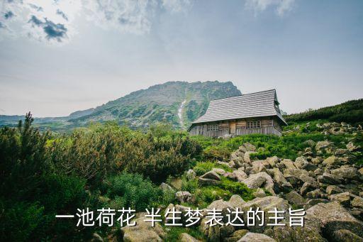 半生梦舞蹈鉴赏,忆梦阑珊舞蹈鉴赏