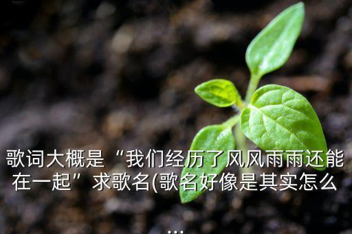 歌词大概是“我们经历了风风雨雨还能在一起”求歌名(歌名好像是其实怎么...
