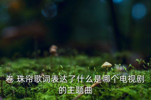 卷 珠帘歌词表达了什么是哪个电视剧的主题曲