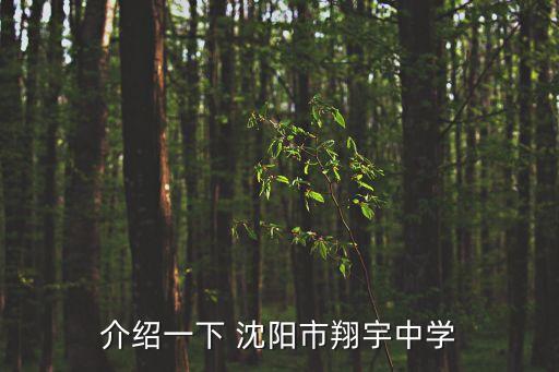 沈阳浑南舞蹈教室出租
