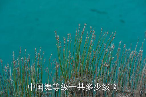 中国舞等级一共多少级啊