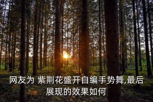 香港紫荆花舞蹈比赛喜水