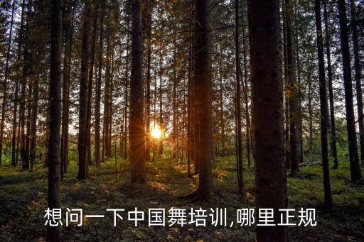学舞蹈培训班中国舞,临湘舞之恋舞蹈培训班