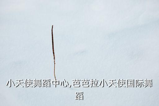 无锡小天使舞蹈中心,芭芭拉小天使国际舞蹈