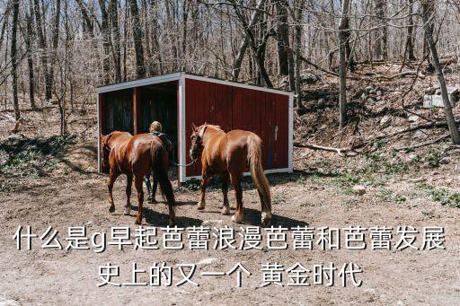什么是g早起芭蕾浪漫芭蕾和芭蕾发展史上的又一个 黄金时代