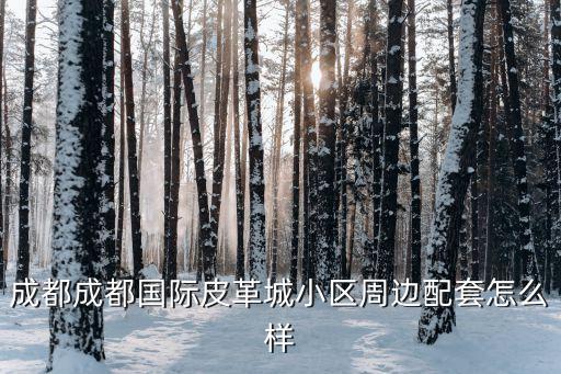 武侯区舞蹈