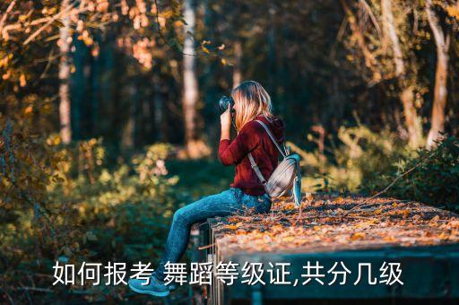 如何报考 舞蹈等级证,共分几级