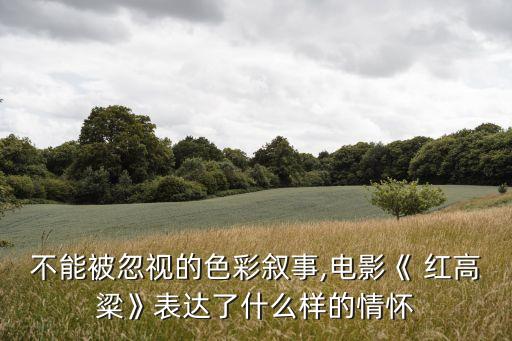 不能被忽视的色彩叙事,电影《 红高粱》表达了什么样的情怀