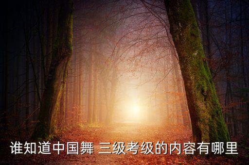 谁知道中国舞 三级考级的内容有哪里