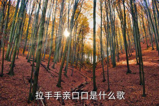  拉手手亲口口是什么歌