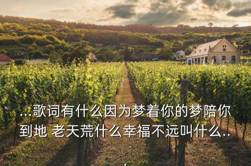 舞蹈陪你到地老天荒,地老天荒舞蹈视频