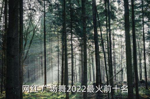 网红 广场舞2022最火前十名