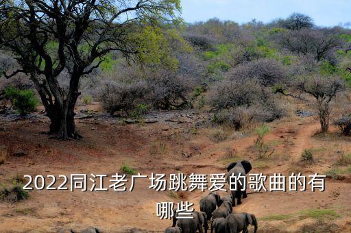 2022同江老广场跳舞爱的歌曲的有哪些