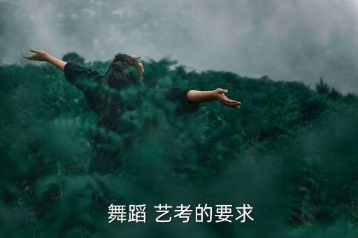  舞蹈 艺考的要求