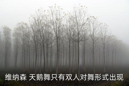 龙岩天鹅艺术舞蹈,紫天鹅艺术教育舞蹈课程