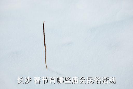 长沙 春节有哪些庙会民俗活动