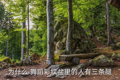 为什么 舞蹈彩纹盆里的人有三条腿