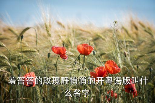 羞答答玖瑰舞蹈视频,儿歌羞答答的舞蹈视频