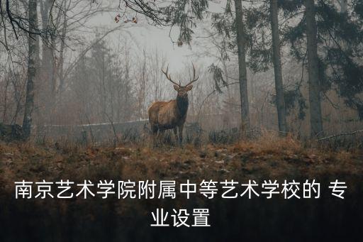 南京艺术学院附属中等艺术学校的 专业设置