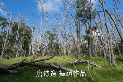 唐诗逸 舞蹈作品
